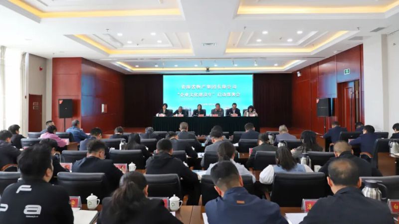 集團召開&ldquo;企業(yè)文化建設(shè)年&rdquo;啟動部署會
