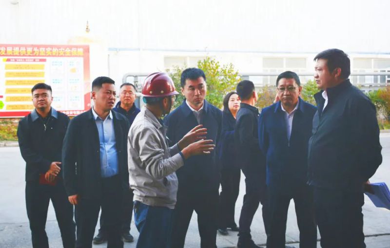 大通縣委副書記、縣長馬明旭一行蒞臨工投公司調(diào)研指導(dǎo)